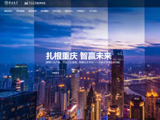 吉林大學(xué)重慶研究院網(wǎng)站 正式上線(xiàn)